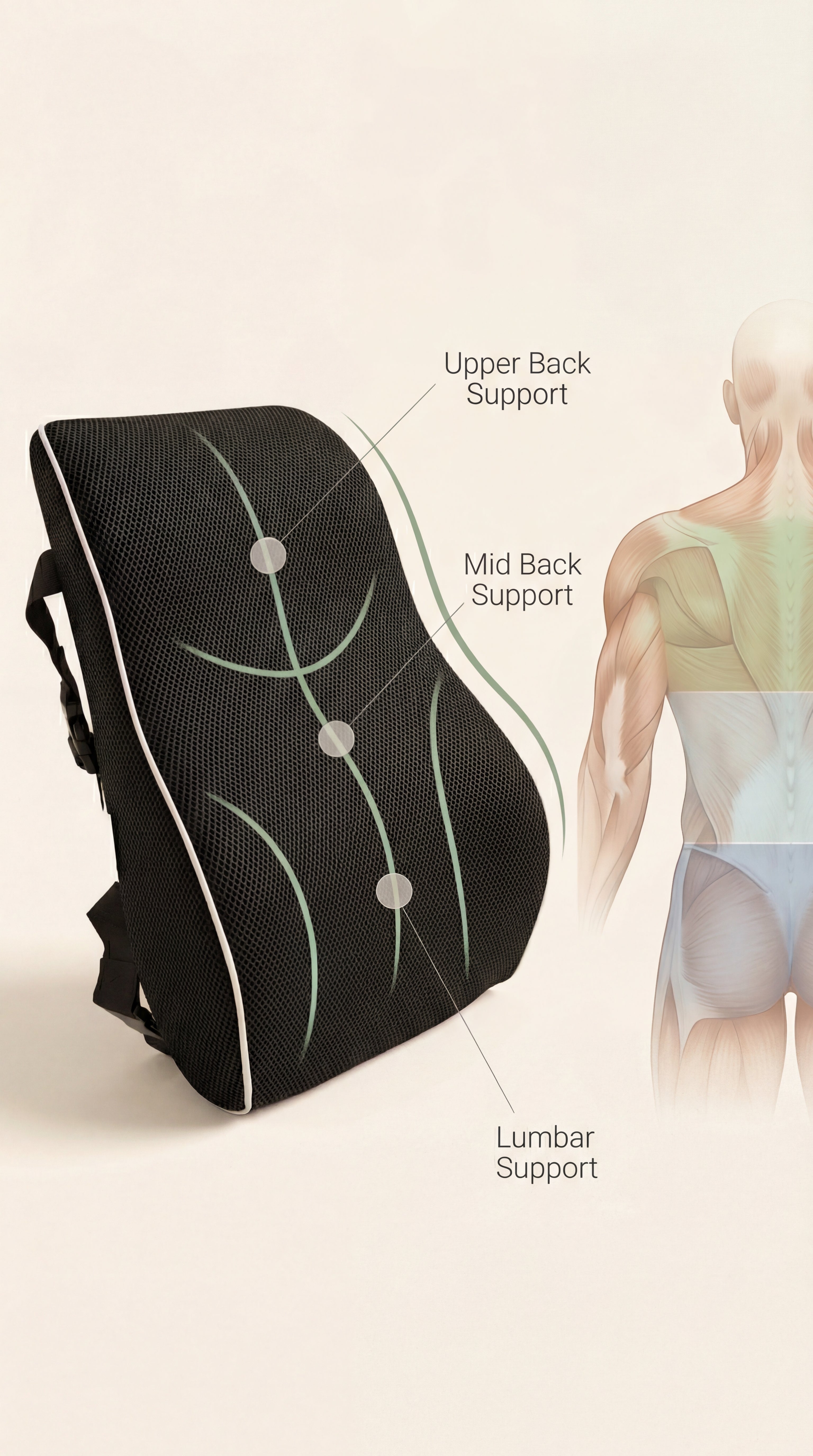 Narvane Align Pro – Lumbar Support Cushion
